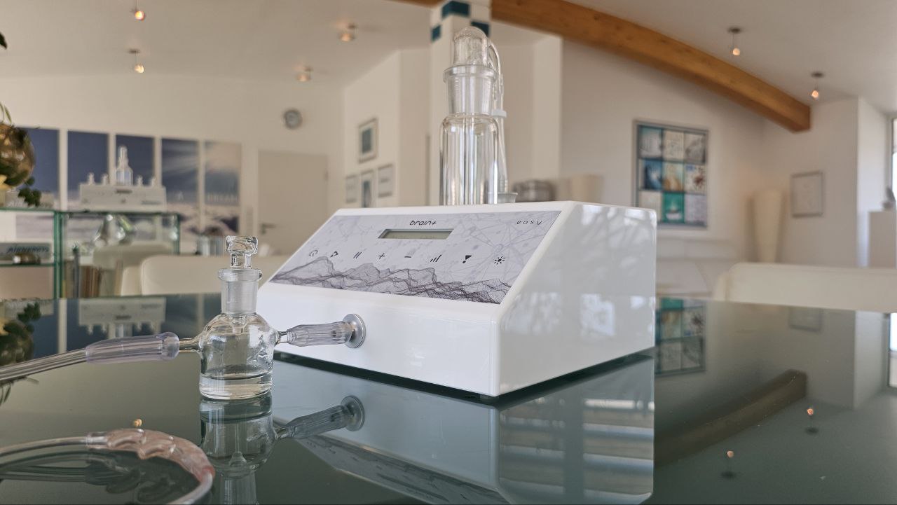 brain+ easy Standardvariante